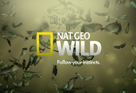 Nat Geo - Wild