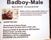 Radium sponsored Badboy & Shyboy as a thankyou for their contribution