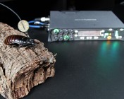 Cockroach with Sound Devices 788T